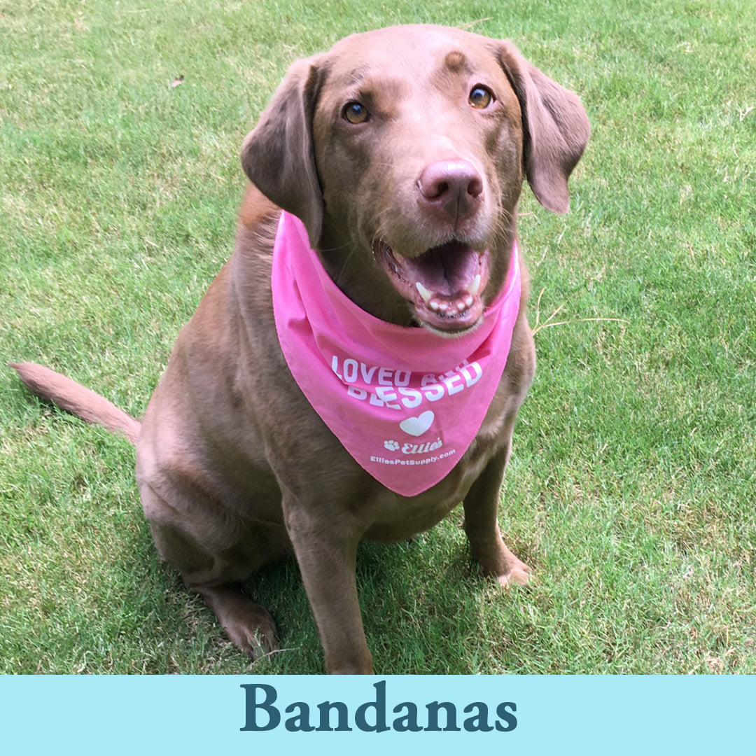 Pet Bandanas