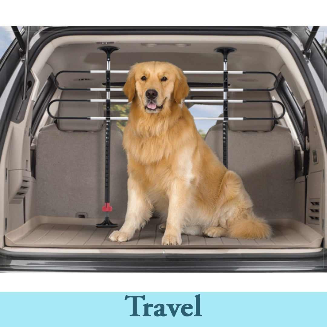 Travel with Pets