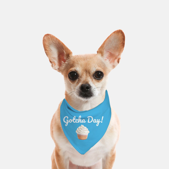 Ellie's Gotcha Day Pet Bandana medium Blue - Small Breed