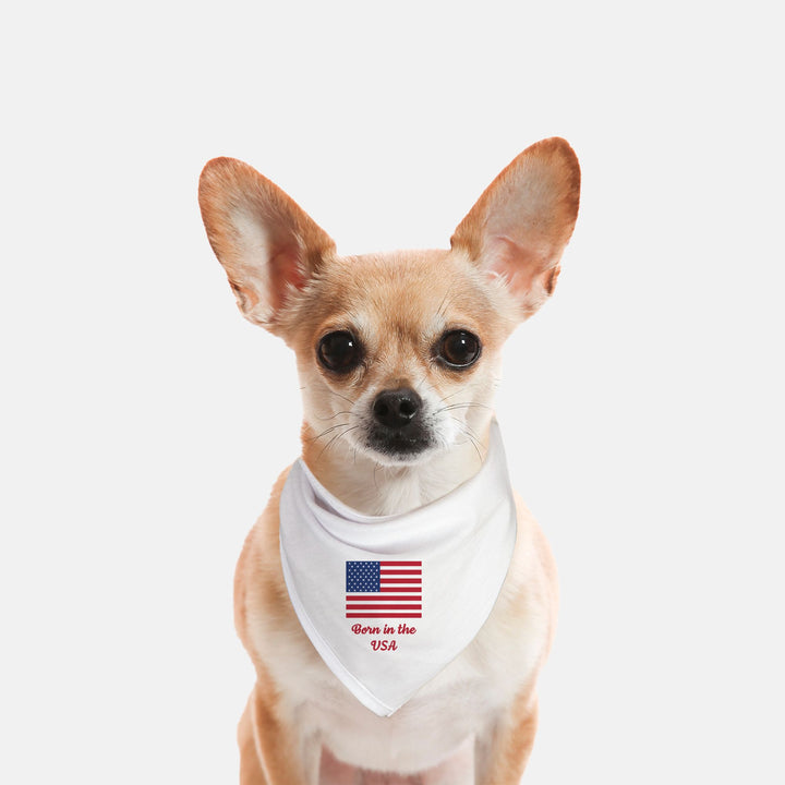 Born in the USA Pet Bandana for Cats and Small Breeds