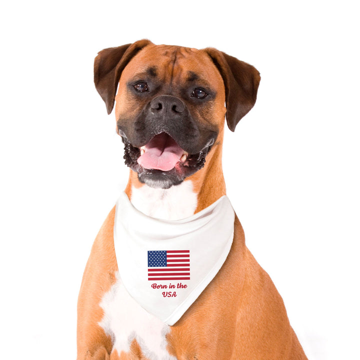 Born in the USA Pet Bandana